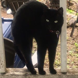 Meet your Posher, Rachael